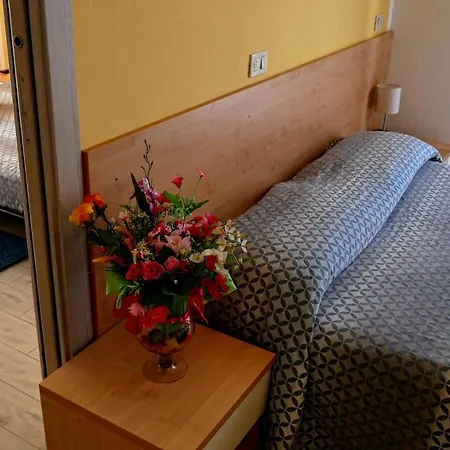 Hotel Frida Rimini