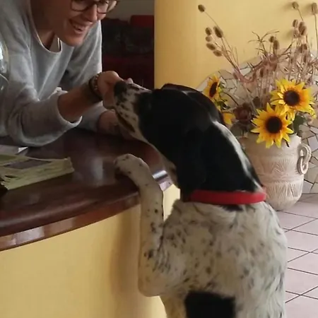 Frida *